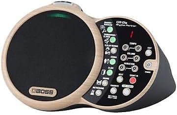 Amazon.com: Boss DR-01S Rhythm Partner Bundle with Picks and