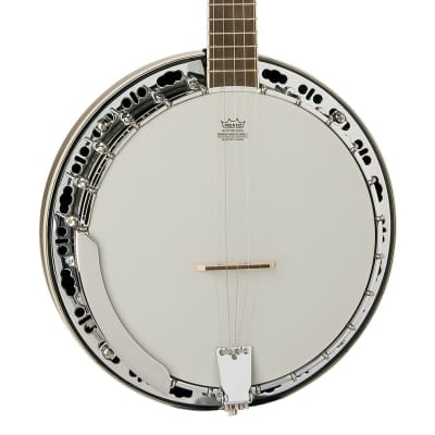 Washburn - Natural Americana Series 5 String Banjo! B11 image 1