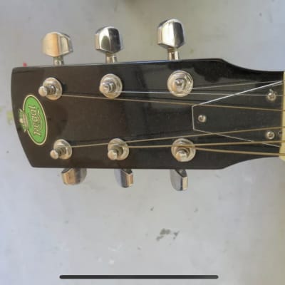 Regal 500 chrome dobro resonator guitar with case image 6