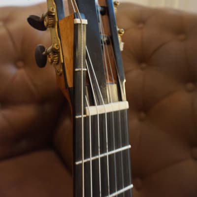 Thomas Fredholm 7 String Luthier Guitar image 8