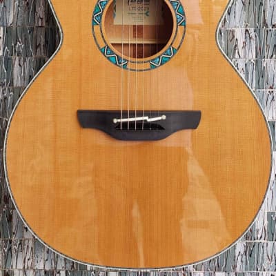 Takamine Limited Edition 2023 Santa Fe 30th Anniversary Electro-Acoustic Cutaway for sale