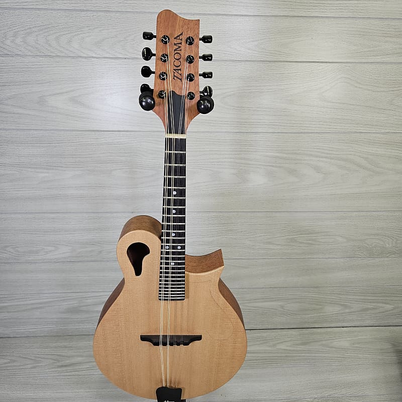 M1 Mandolin with case Reverb