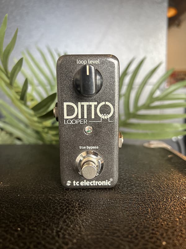 TC Electronic Ditto Looper