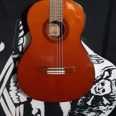 Valencia Custom CG30E LH Left Hand Classical w/Gig Bag & Electronics by Guitars For Vets for sale