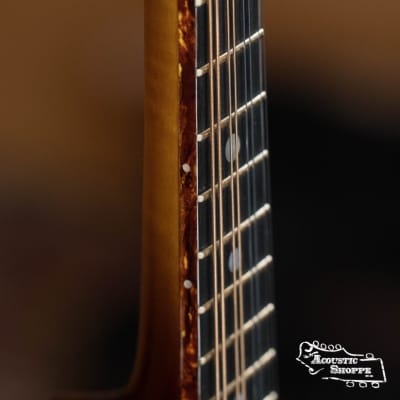 (Used) Iwamoto F5 Adirondack/Maple F-Style Mandolin #118 image 10