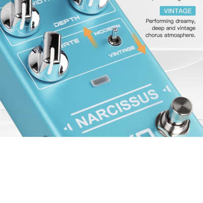 JOYO Chorus Pedal Multiple Chorus Effects Semi-Analog Circuit From Surreal Deep Tone to Fierce and Vintage Distortion for Electric Guitar (NARCISSUS R-22) image 2