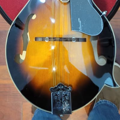 Gold Tone GM-35 F Style Mandolin with case - Tobacco Sunburst image 10