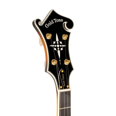 GOLD TONE EBM-5 electric 5-string F-style BANJO new w/ Gold Tone Case image 7