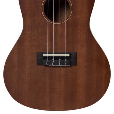 DeSalvo tenore De Salvo UKMT mogano ukulele for sale