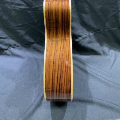 Zager ZAD-900 OMCE image 7
