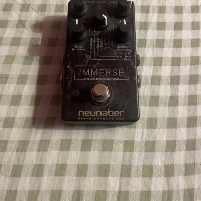 Neunaber Audio Effects Immerse Reverb | Reverb