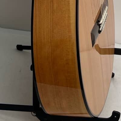 Casa Montalvo Fleta Model Flamenco Guitar 2024 - Nitro Gloss image 4