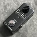 Tc Electronic DITTO LOOPER