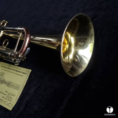 D. Calicchio 1s7 ML Sterling Silver leadpipe trumpet case gamonbrass image 2