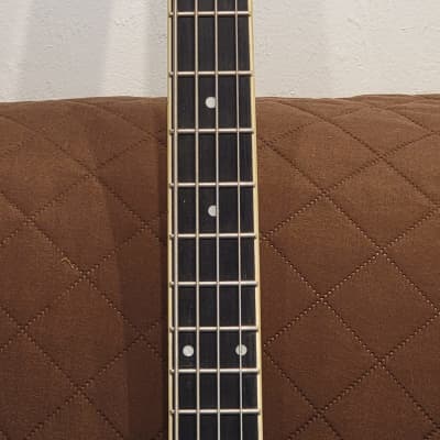 Jay Turser JTB-2B-VS Series Semi-Hollow Violin Shaped Body Maple Neck 4-String Electric Bass Guitar image 25