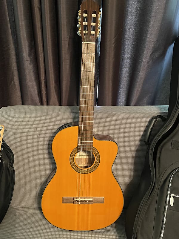 Takamine g series deals eg124c