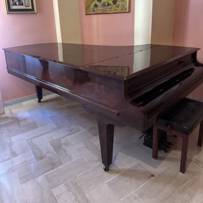 Chickering & Sons 58515 1881 - Marrone satinato image 4