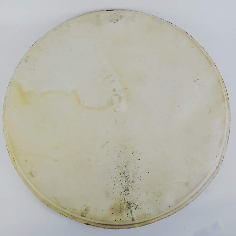 Gretsch 22" Calfskin Broadkaster Bass Drum Head Professional Reverb