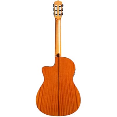Cordoba Fusion 12 Natural Cedar Top Classical Acoustic-Electric Guitar Natural image 4