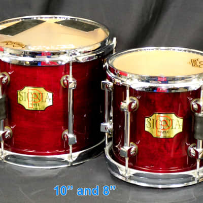 Premier Signia Cherrywood Drums - 5 piece - 4 toms, 1 kick - with 8" and 15" rare toms 90s  CLEAN! image 4
