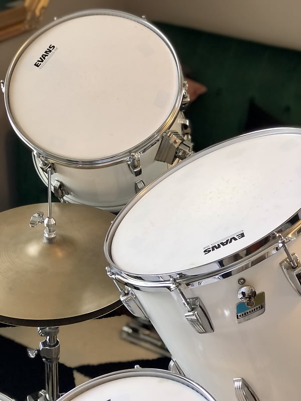 Ludwig White Cortex 14