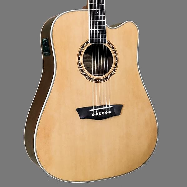 Washburn shop wd10ce price