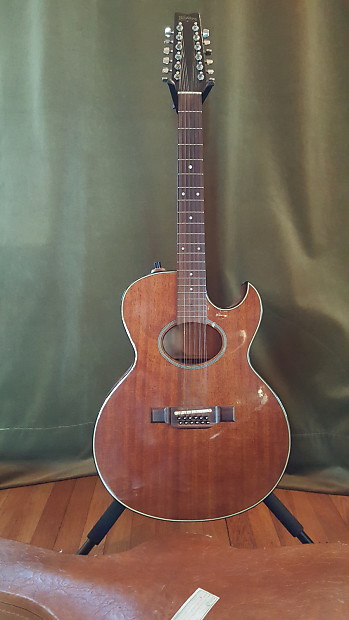 Washburn woodstock shop 12 string
