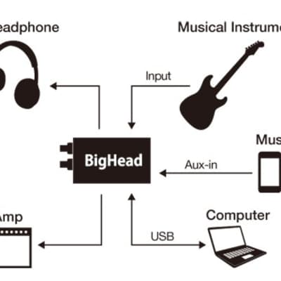 Phil Jones HA-2 Bighead Pro USB Bass Headphone Amp | Reverb Canada