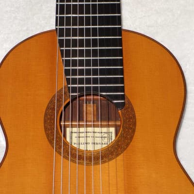 Super Rare 1977  Paulino Bernabe 1a 10-String Guitar Spruce/Brazilian, PB Stamp, w/Original Case image 11