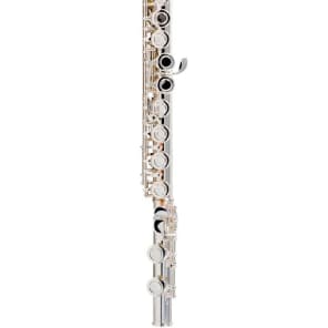 Allora AFL-250 Student Flute with Offset G, C-Foot