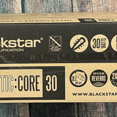 Blackstar ACOUSCORE30 Acoustic Core 30 2 x 15-Watt 2x5" Acoustic Guitar Combo image 9