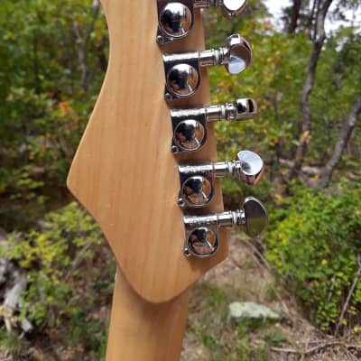 Durango Guitar Works 4130 Short Scale  Modded image 3