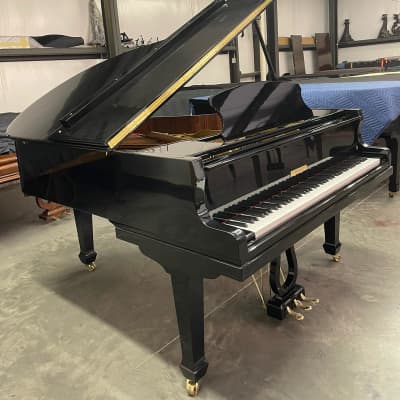 Brand new baby Grand piano 5'11'' image 4