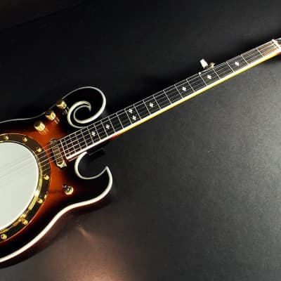 Gold Tone EBM-5 Electric Solid Body Maple Neck Mahogany Top 5-String Banjo w/Hard Case image 2