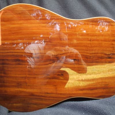 Special Edition dreadnought, torified european Spruce top granadillo rosewood back and sides, as seen on youtube hand made by Gary Montgomery. image 12