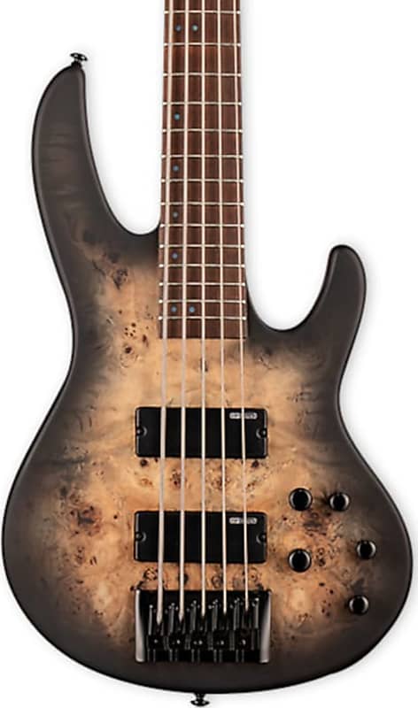 ESP LTD D-5 D Series 5-String Bass Guitar, Black Natural Burst Satin image 1