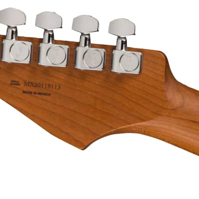 Fender Limited Edition Player Stratocaster, Roasted Maple Neck - 2-Colour Sunburst image 4