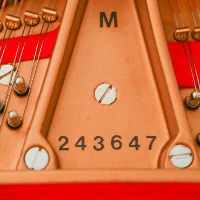 1926 Steinway White 23k Gold Grand Piano Masterpiece Model M image 13