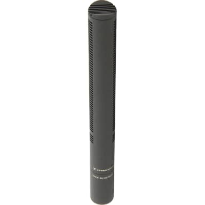 Sennheiser MKH 8060 Supercardioid Shotgun Microphone | Reverb