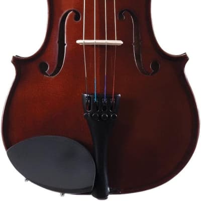 Palatino VN-450 Allegro Violin Outfit, 1/2 Size image 1