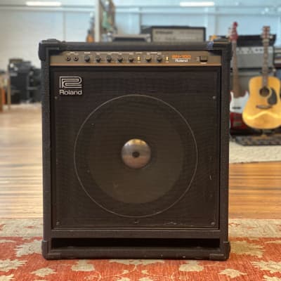 Roland BN-100 | Reverb