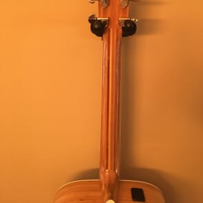Yamaha  FGX-B1 Rare Bamboo Guitar image 6