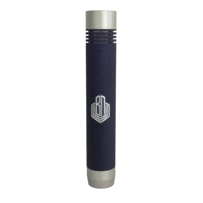 BeesNeez Pro Audio KM54 Style Microphone PAIR, Australian