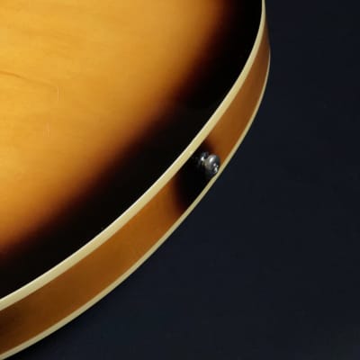 2003 Oscar Schmidt Delta King OE-30/TS Semi-Hollow Body Electric Guitar image 16