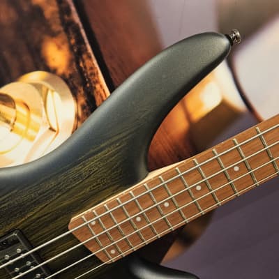 Ibanez SR300E-GVM SR-Serie E-Bass 4 String – Golden Veil Matte image 2