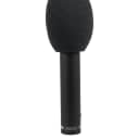 Beyerdynamic M201TG M201 TG Dynamic Instrument Microphone Mic w/ Clamp +Bag