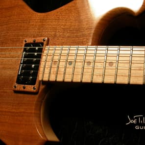 Joe Till Guitars TG-521 No.3  - Walnut Top Setneck - Handmade in USA - Builder Direct image 7