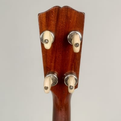 1928-31 The Gibson TG-0 with Rosewoods fretboard with Mahogany body, back, sides and neck w/HSC image 6