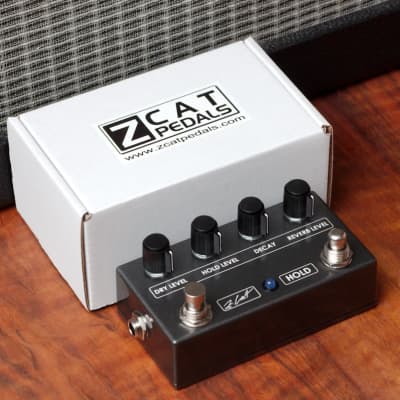 ZCAT Hold-Reverb Gray | Reverb