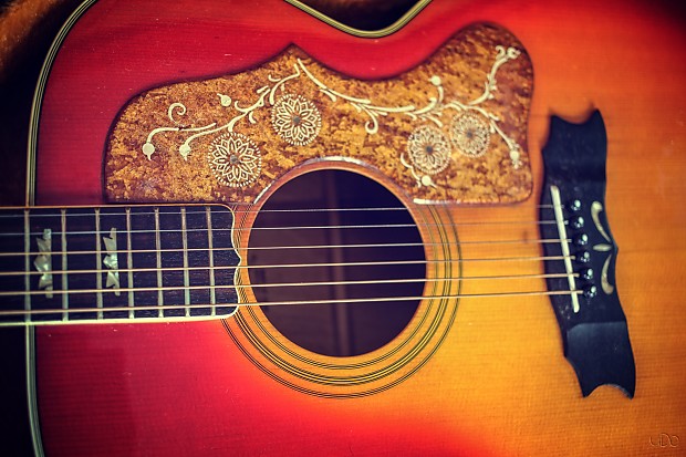 大学 兄弟割引 1970 Morales Guitar Acoustic Folk Western M350 Japan Zen-On ギター